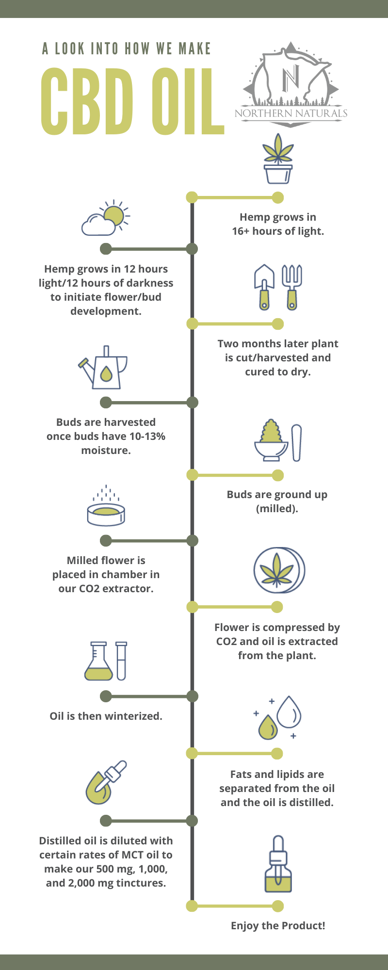 How CBD is Made
