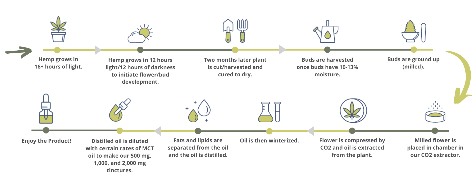 How CBD Products are Made